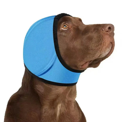 CalmPaw 