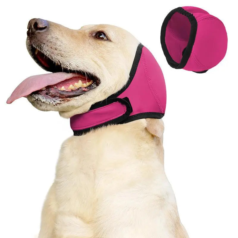 CalmPaw 
