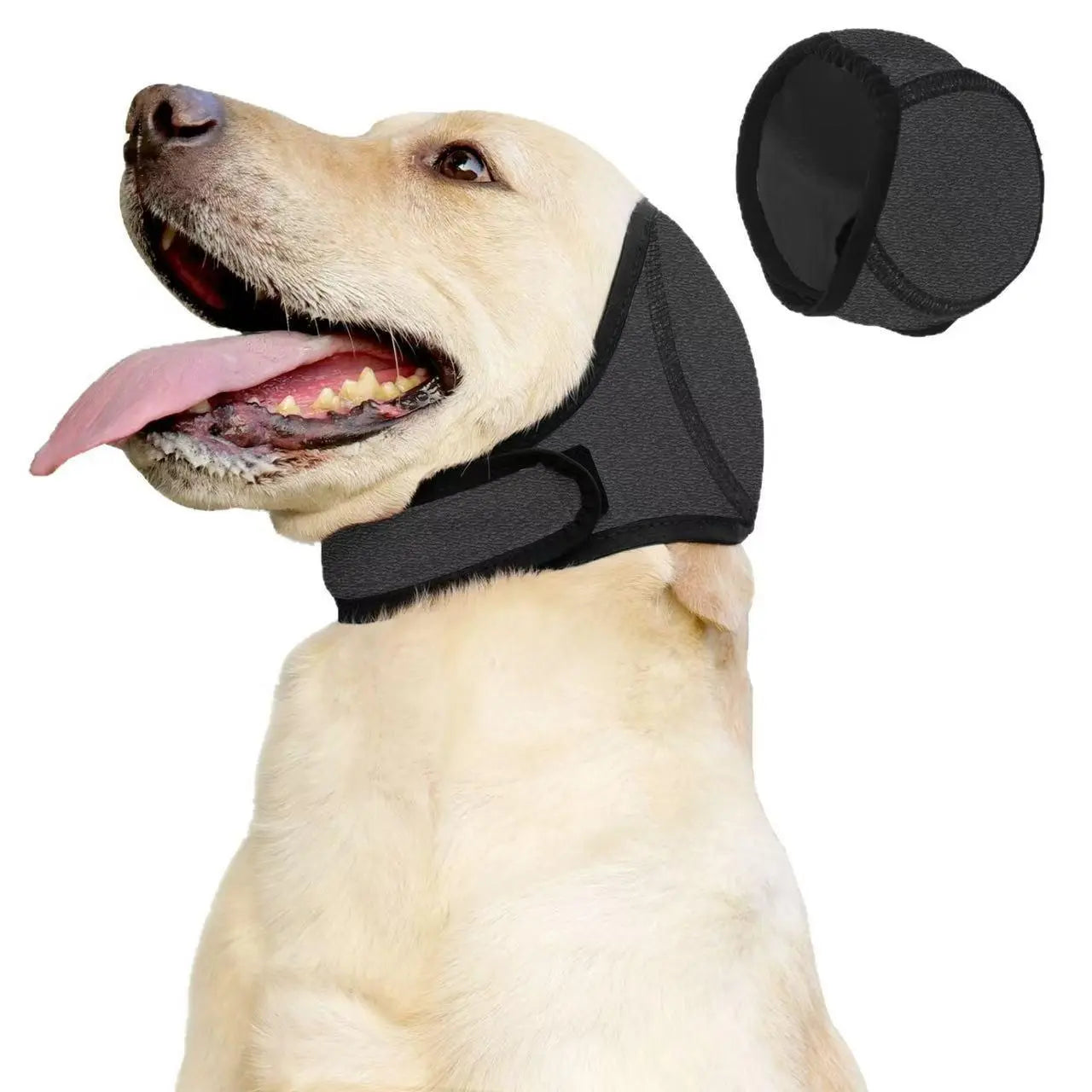 CalmPaw 