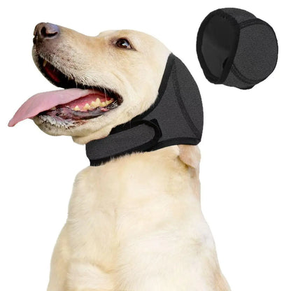 CalmPaw 