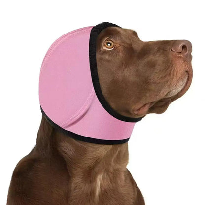 CalmPaw 